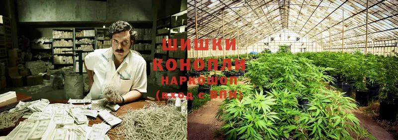 Канабис THC 21%  сколько стоит  Ковылкино 